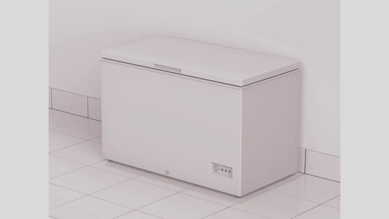 ২০ বছর ধরে ডিপ ফ্রিজে মেয়ের মরদেহ, জাপানে বৃদ্ধা গ্রেপ্তার